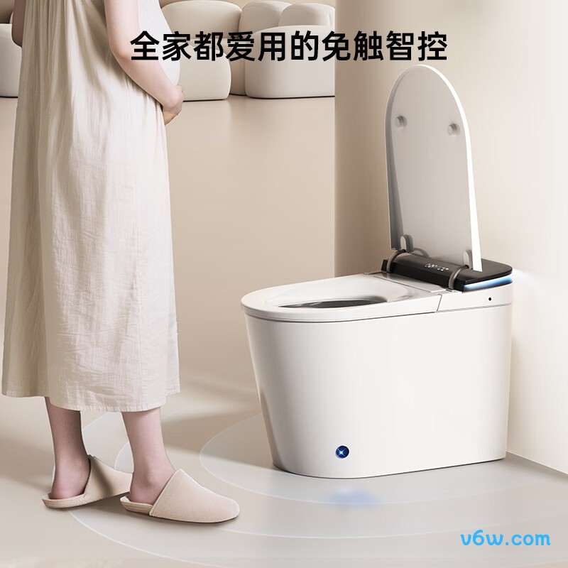 ZS800I-400智能马桶图片