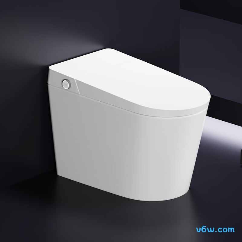 T5-400智能马桶图片