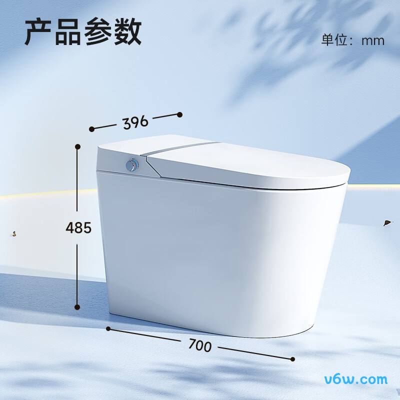 RTV1008-F22智能马桶图片