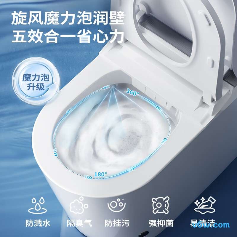 ZS780J-305智能马桶图片