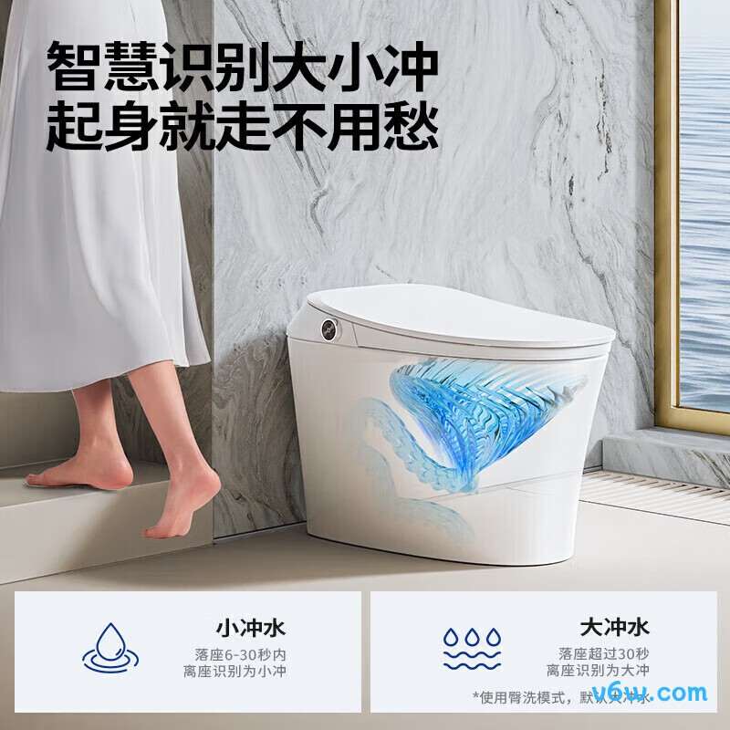 ZS300P-400智能马桶图片