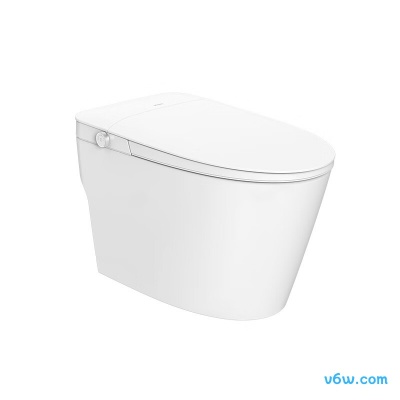 HR290-V30智能马桶图片