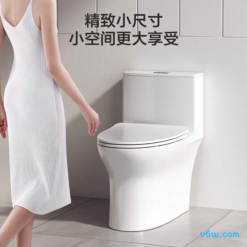 11425-2-1/31K-1普通马桶图片