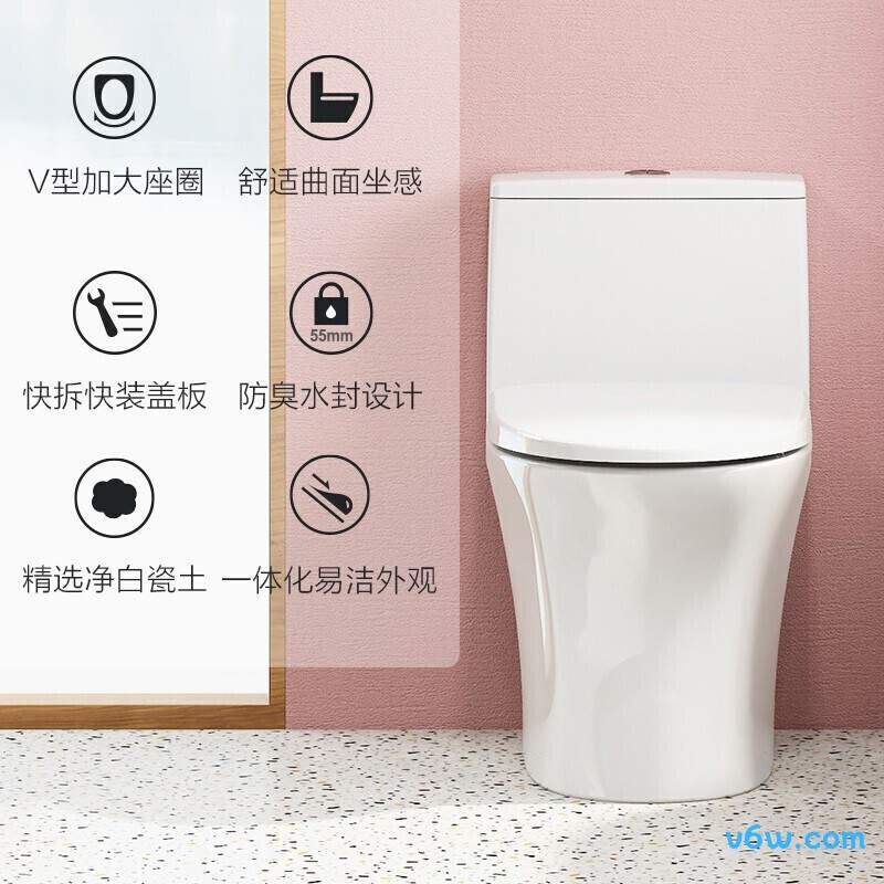 11262  305普通马桶图片