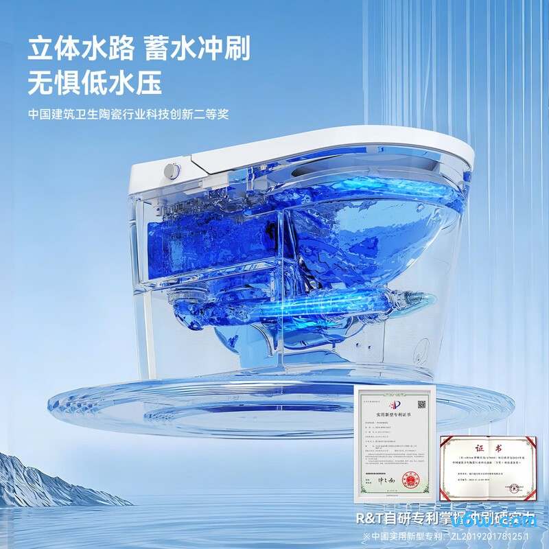 RTV1008-F22智能马桶图片