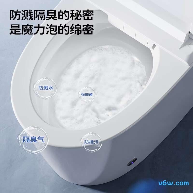 ZS770P-305智能马桶图片