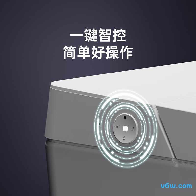 D5-400智能马桶图片