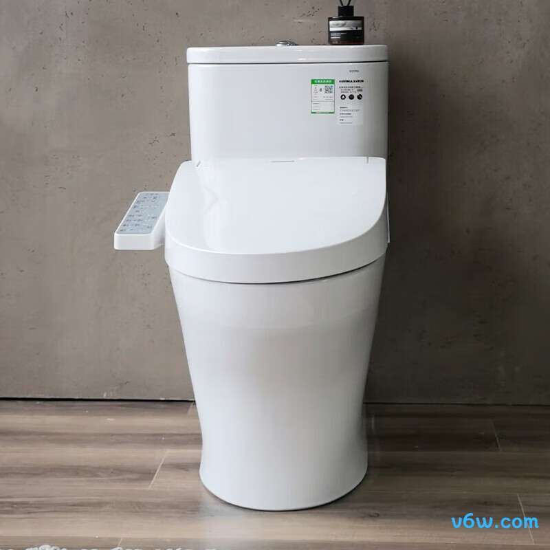CW802EBT+TCF3F260 305智能马桶图片