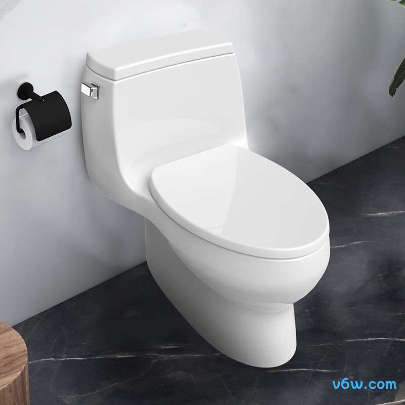 K-26093T-S-0普通马桶图片