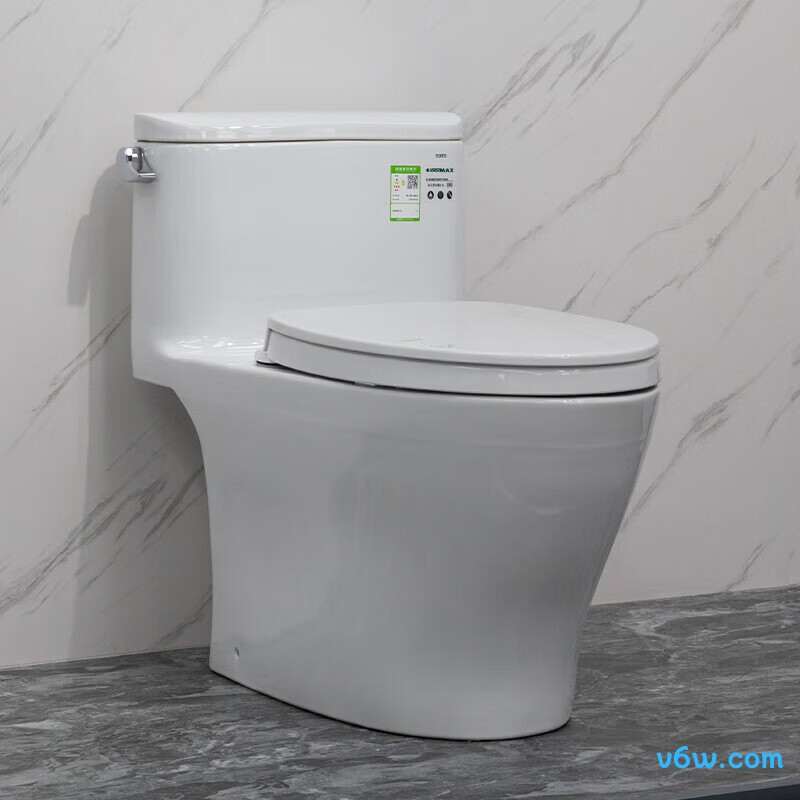 CW887REBT305普通马桶图片