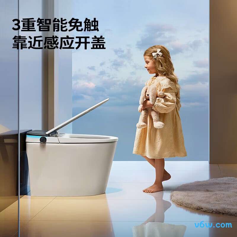 ZS700J-400智能马桶图片