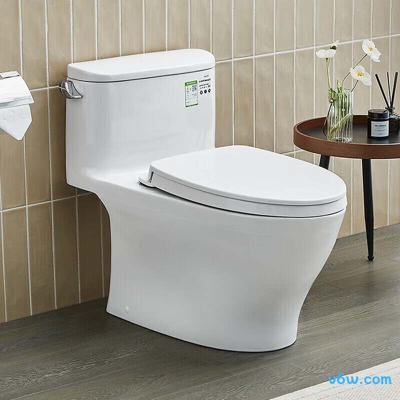 CW887REBT400普通马桶图片