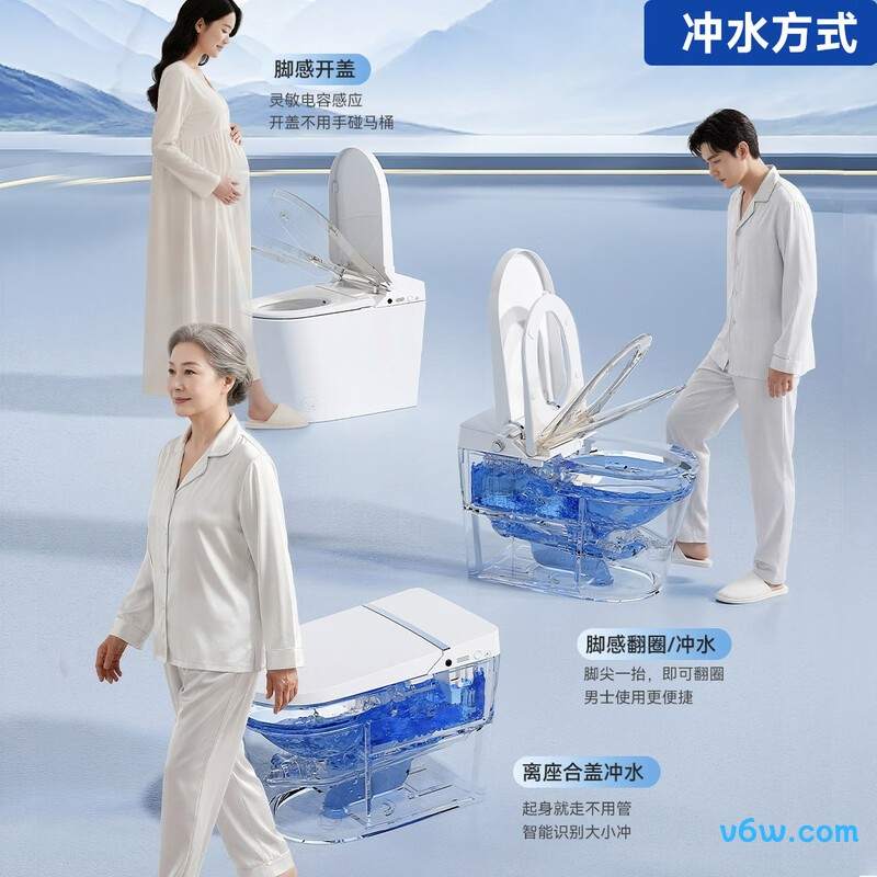 RTV1008-F22智能马桶图片