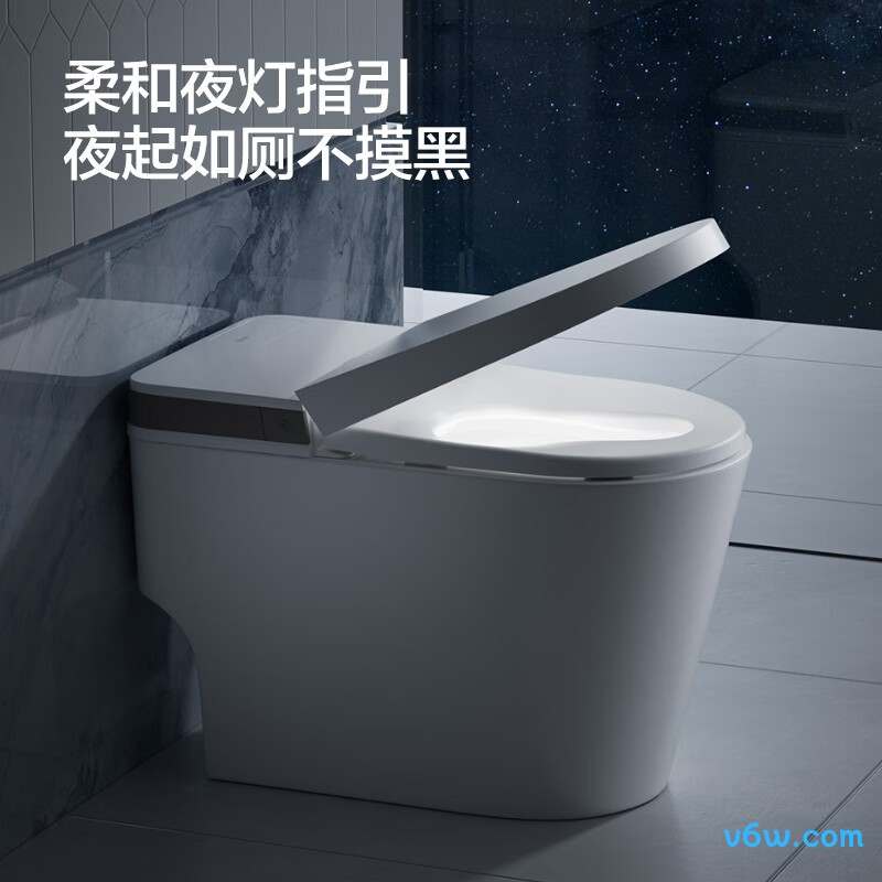 AES1171-PM智能马桶图片