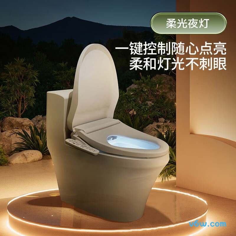 松下DL-PT21CWS智能马桶盖图片