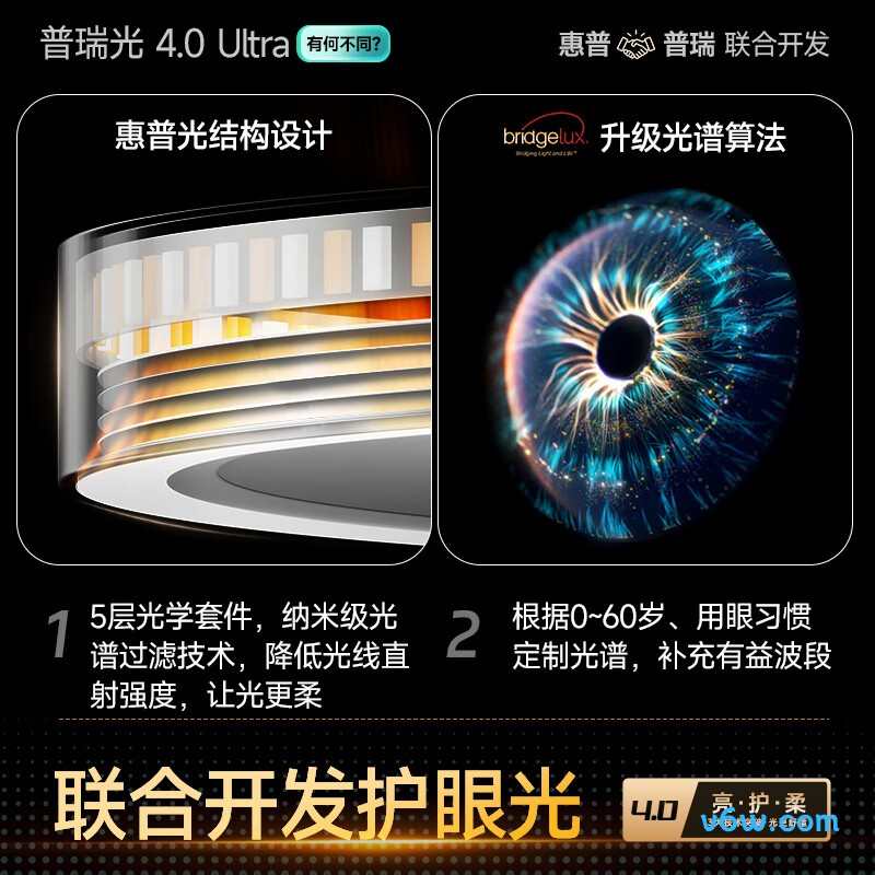 惠普9036-60吸顶灯图片