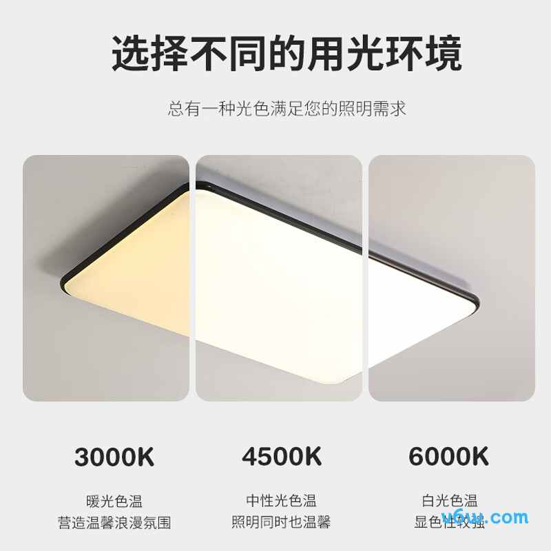 惠普精工Z8104吸顶灯图片