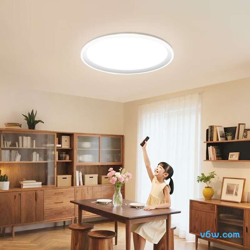 松下HHXS5140吸顶灯图片