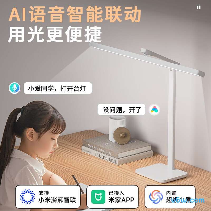 督牌VC019台灯图片