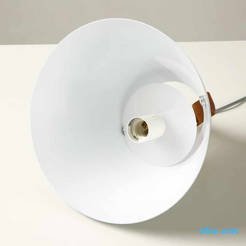 FSL黑色50258吊灯图片