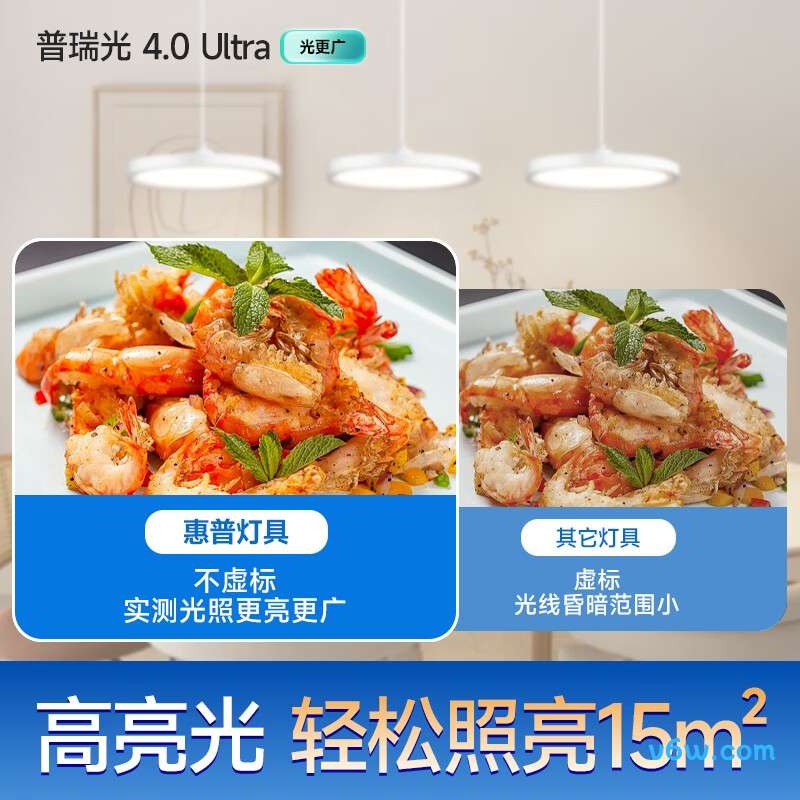 惠普9057-66吊灯图片