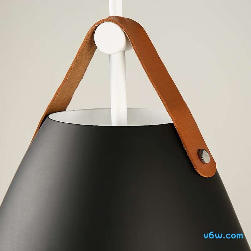 FSL黑色50258吊灯图片