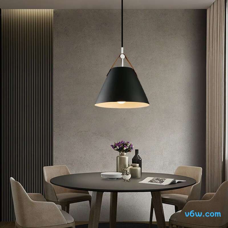 FSL黑色50258吊灯图片