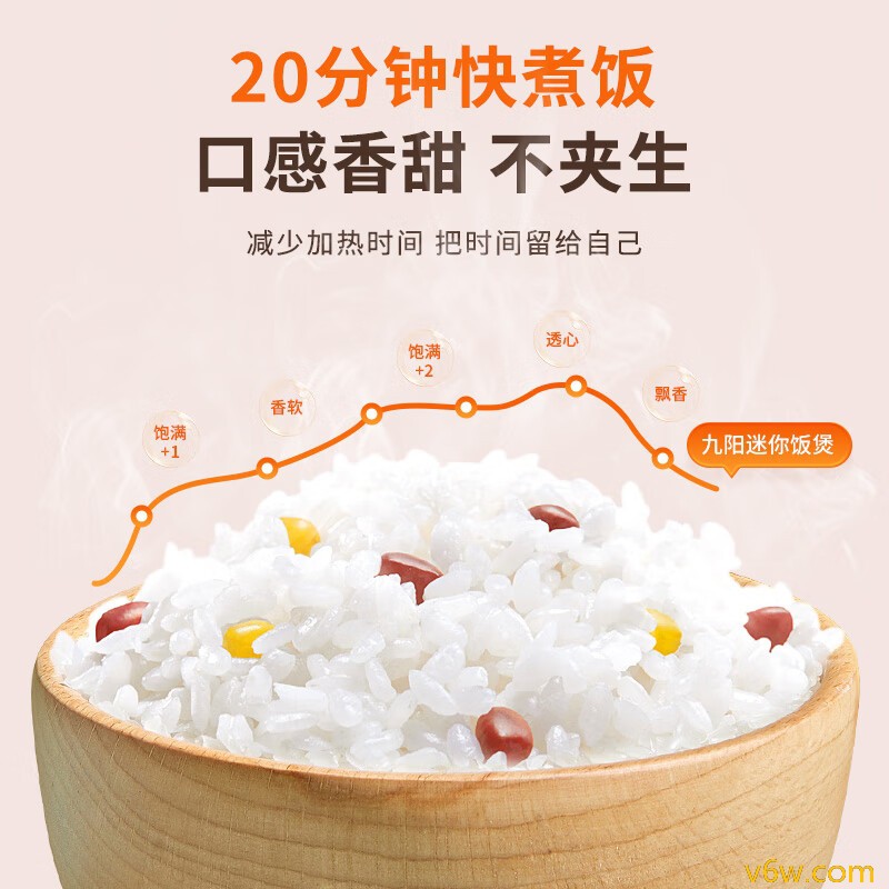 奥克斯WZA-0502电饭煲图片