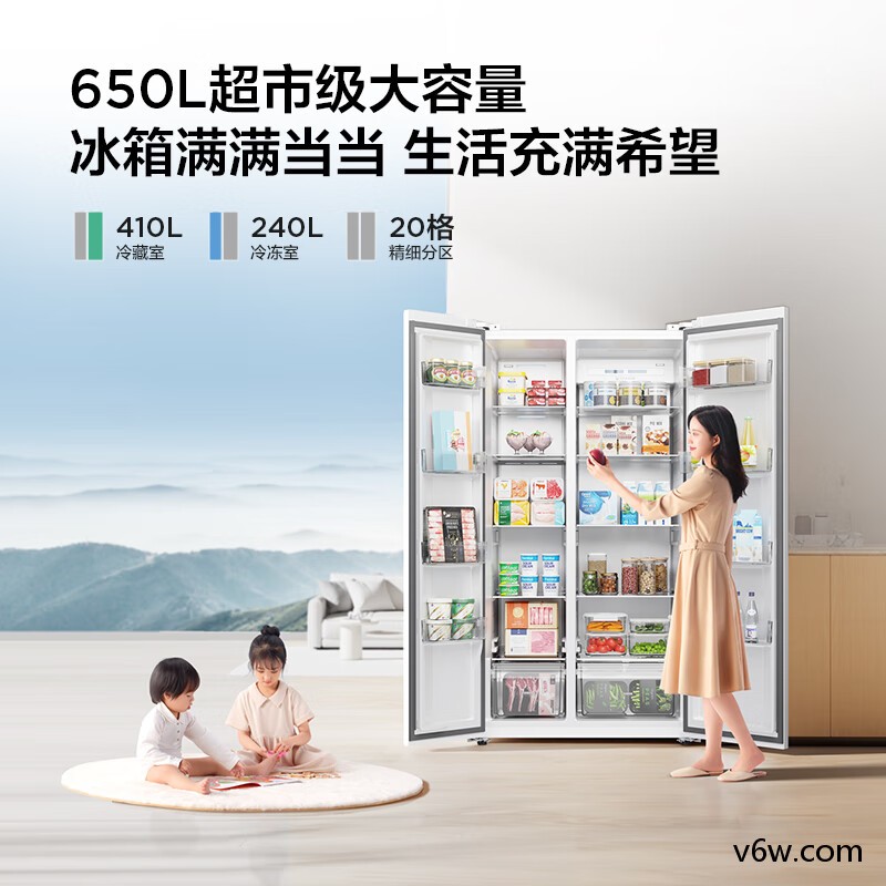 TCL-R650T5-S冰箱图片