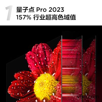 创维65A4D Pro