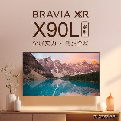 SONY-XR-55X90L平板电视图片