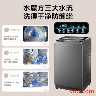 小天鹅TB100TEC洗衣机图片