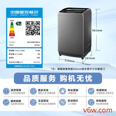 小天鹅TB100TEC洗衣机图片