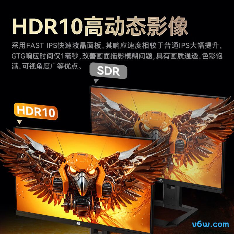 泰坦军团P2510H-PRO