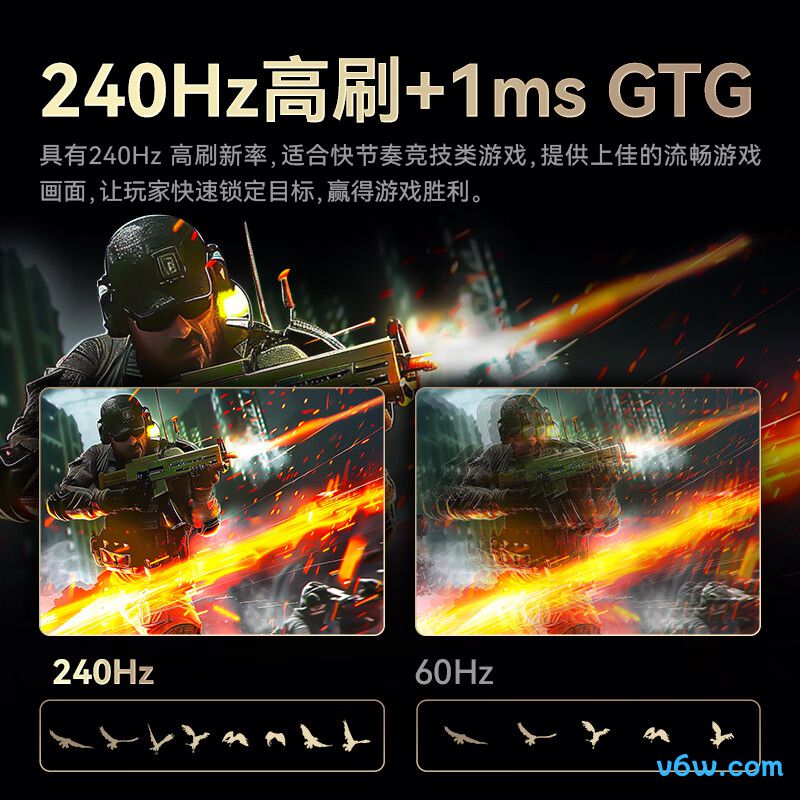 泰坦军团P2510H-PRO