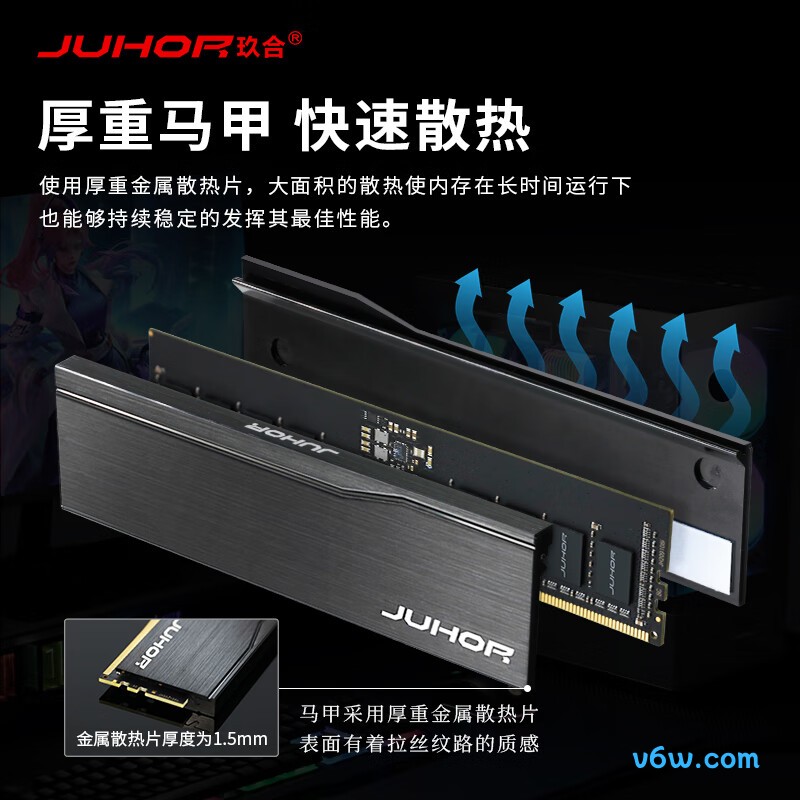 JUHOR玖合 96GB(48Gx2) DDR5 5600