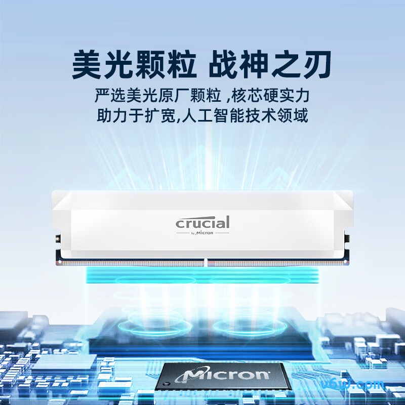 Crucial英睿达 美光32GB（16GB×2）DDR5 6000 白色