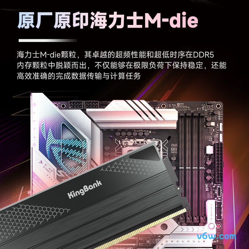 金百达96GB(48GBX2) DDR5 6400台式机内存图片