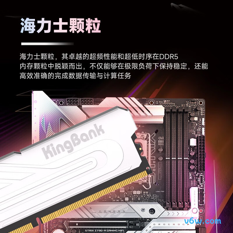 金百达64GB(32GBX2) DDR5 6000