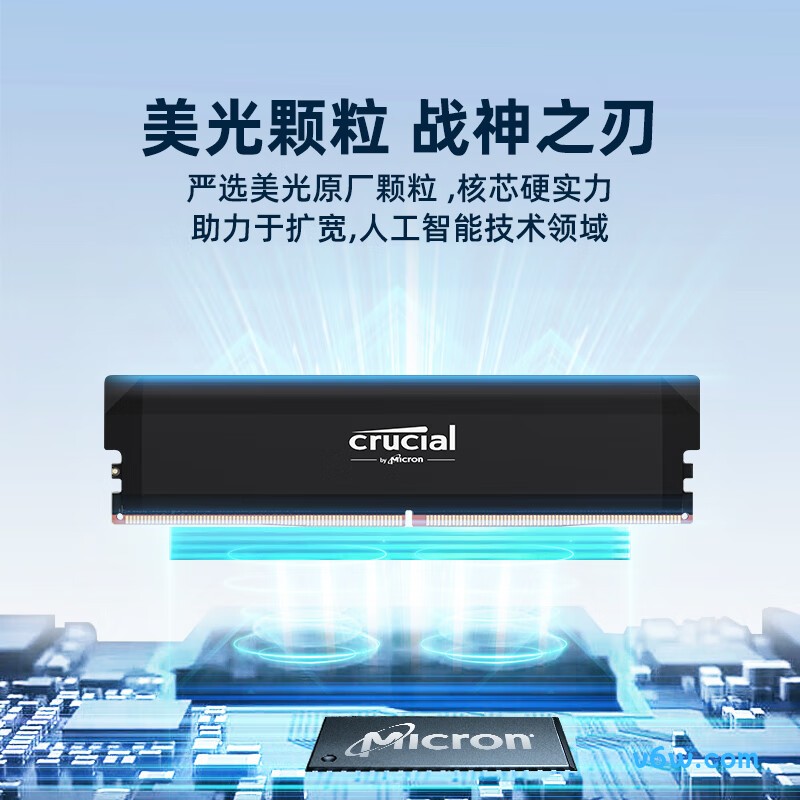 Crucial英睿达 美光32GB（16GB×2）DDR5 6000 黑色