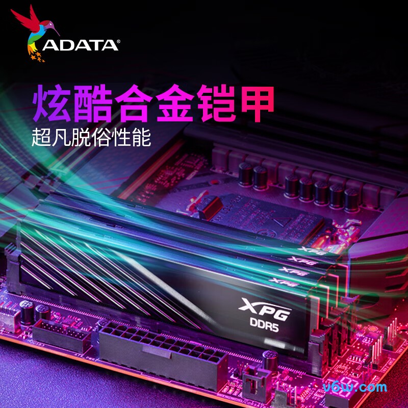 威刚32GB(16GBX2) DDR5 6000