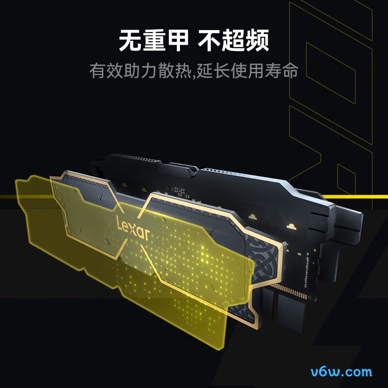 雷克沙DDR5 6000 32GB(16GB×2) 电竞马甲条