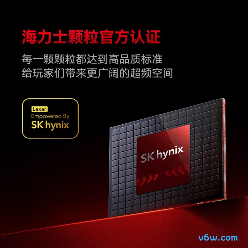 雷克沙DDR5 6800 48GB(24GB×2)