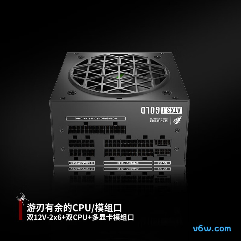 首席玩家 NGDP金牌 1000W电脑电源图片