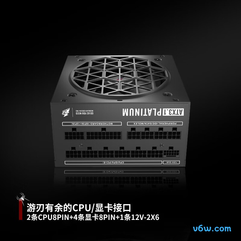 首席玩家 NGDP铂金 1000W电脑电源图片