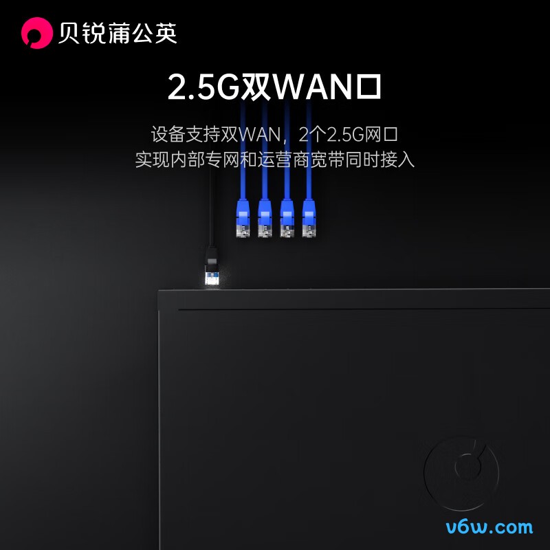 贝锐蒲公英G300