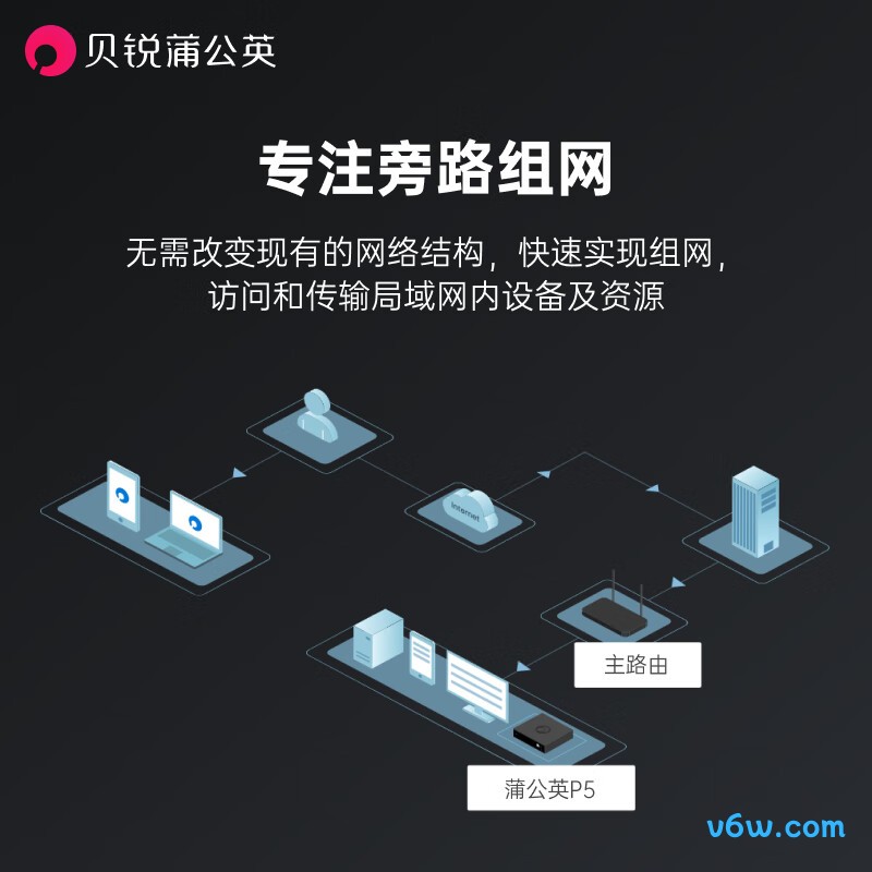 贝锐蒲公英P5