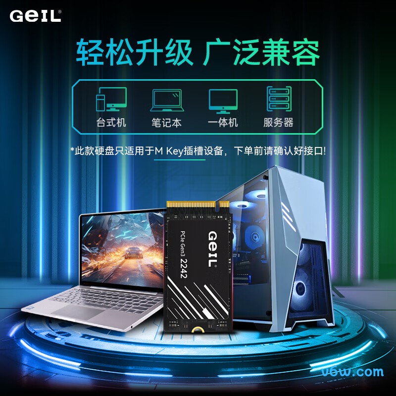 GEIL金邦 1TB SSD固态硬盘 2242短板