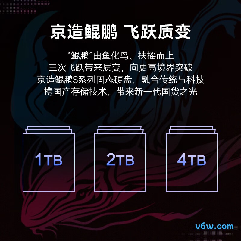 京东京造2TB SSD固态硬盘 鲲鹏S系列