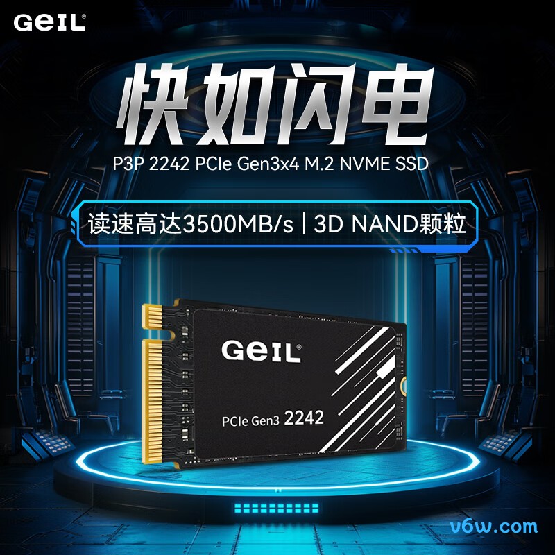 GEIL金邦 1TB SSD固态硬盘 2242短板SSD固态硬盘